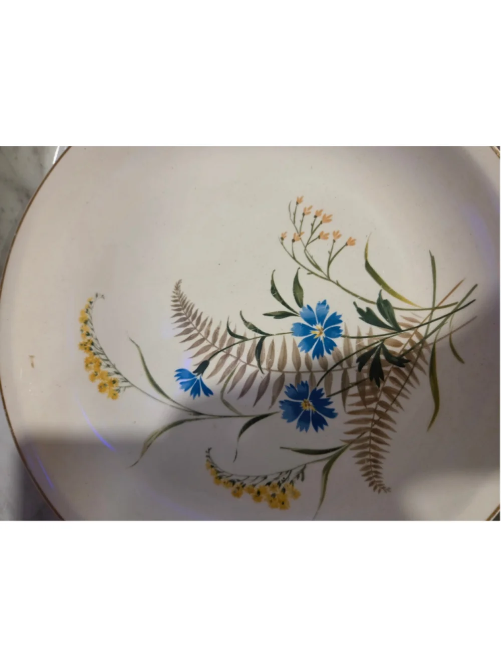 Paden City Pottery Floral Dinner Plate One Size Beige Blue